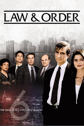 法律与秩序第六季(全集)