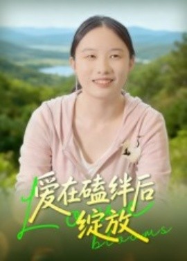 爱在磕绊后绽放(全集)