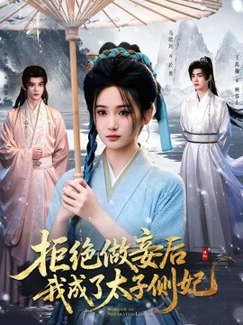 拒绝做妾后我成了太子侧妃 一纸离人愁(全集)