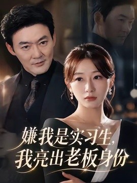 嫌我是实习生，我亮出老板身份(全集)