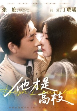 他才是高枝(全集)