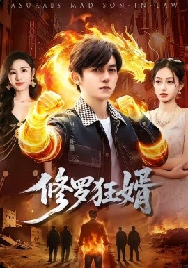 修罗狂婿(全集)